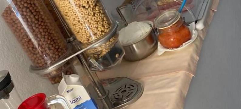 德利斯酒店(Hotel Dellis)图片