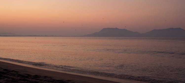 奥雷利亚酒店(Hotel Aurelia)图片