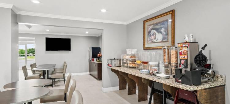 列克星敦麦客达套房酒店(Microtel Inn & Suites by Wyndham Lexington)图片