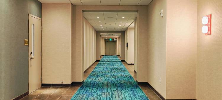 希尔顿Home2 Suites布里斯托尔(Home2 Suites by Hilton Bristol)图片