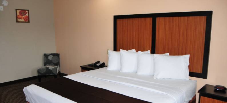 天堂套房酒店(Paradise Inn & Suites)图片