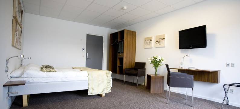 特宁格加德酒店(Hotel Thinggaard)图片