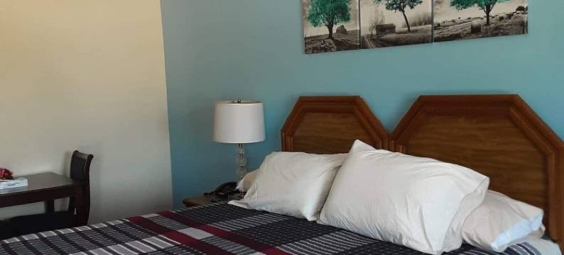 庞斯里昂汽车旅馆(Ponce de Leon Motel)图片