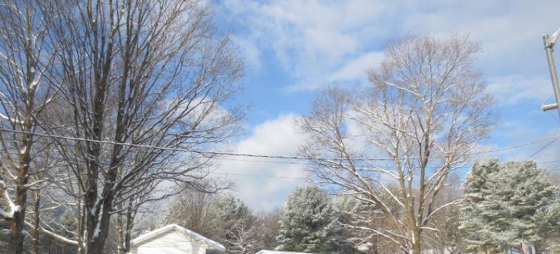 四季汽车旅馆(Four Seasons Motel)图片