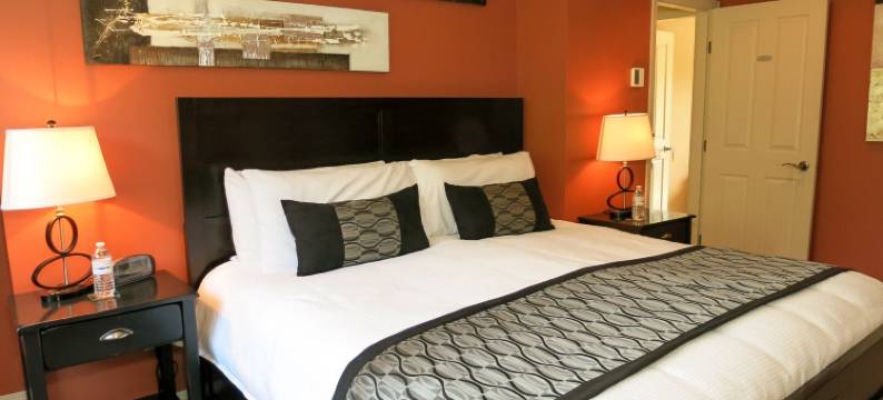 湖景家庭旅馆(A View of the Lake Bed & Breakfast)图片