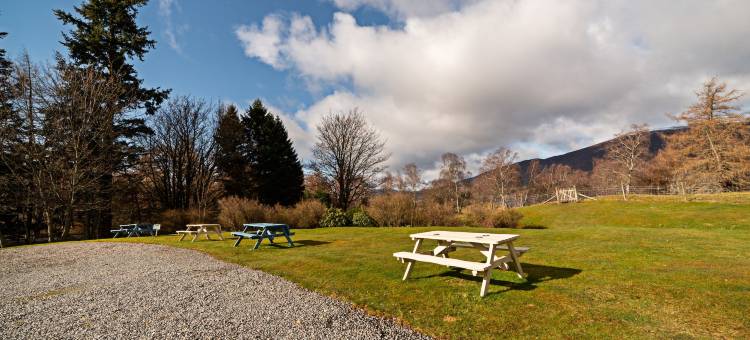 罗文树乡村酒店(The Rowan Tree Country Hotel)图片