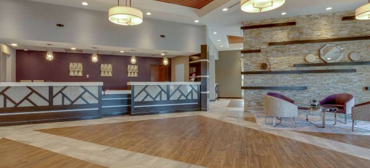 奥佛兰公园德鲁里套房酒店(Drury Inn & Suites Overland Park)图片