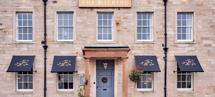 野性酒店(Wilding Hotel)图片