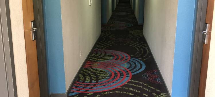 罗切斯特南宜必思酒店(Quality Inn Rochester South)图片