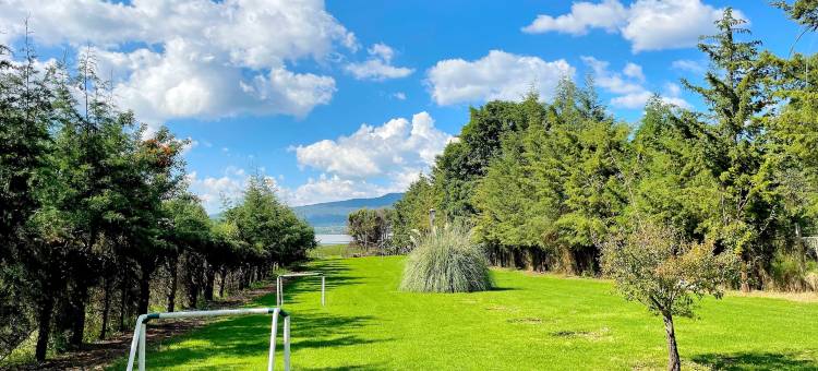 桑杜加拉戈钦钦扎(Sandunga Lago Tzintzuntzan)图片