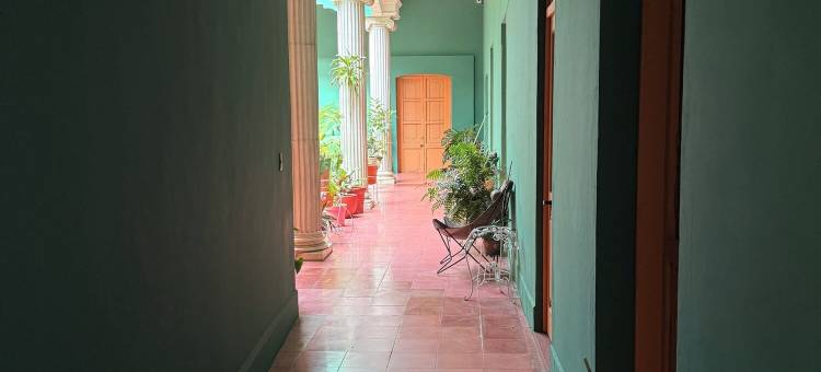 Ginger banana 青年旅舍(Ginger Banana Hostel)图片