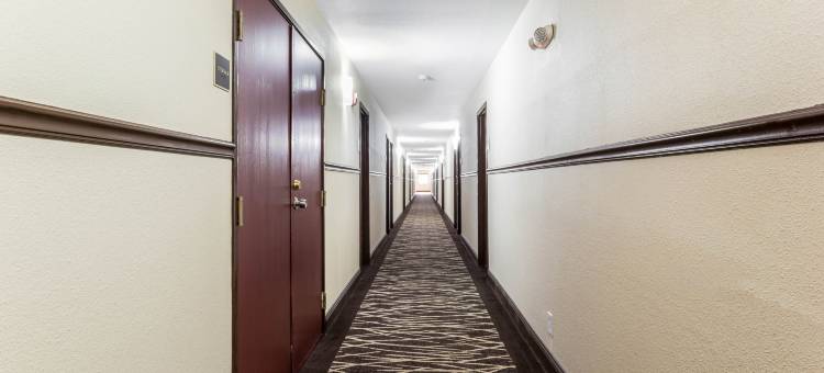 红顶酒店-德里里奇(Red Roof Inn Dry Ridge)图片