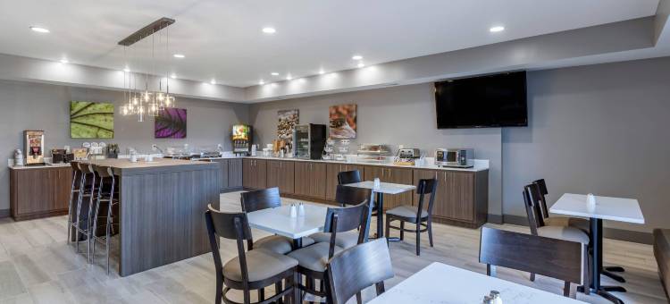莱巴嫩美茵斯坦套房酒店 - 纳什维尔地区(MainStay Suites Lebanon - Nashville Area)图片