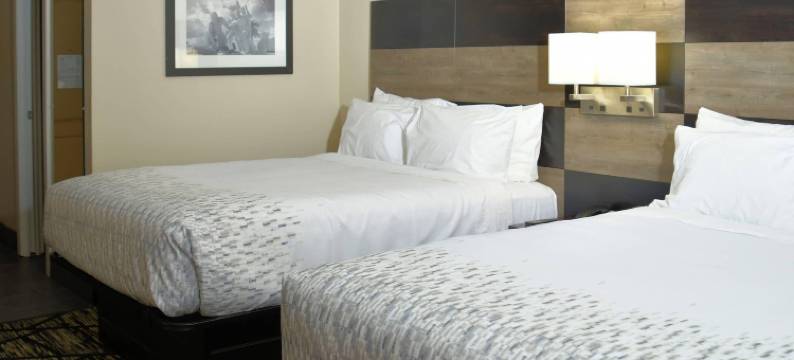 克拉利昂波因特杰克森维尔近营地勒瑞纳(Clarion Pointe Jacksonville Near Camp Lejeune)图片