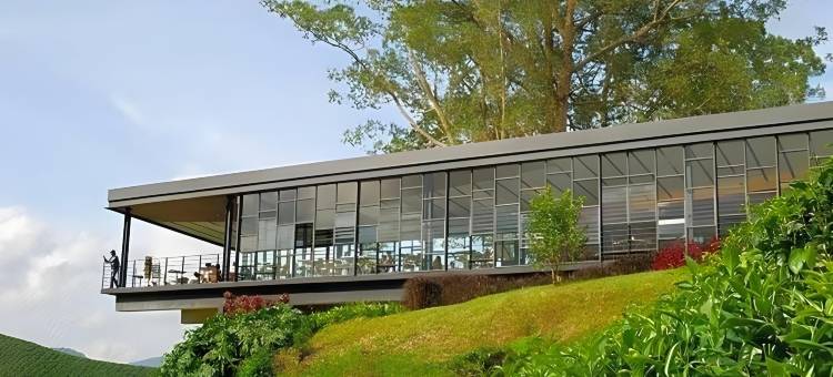 草莓园度假村(Strawberry Park Resort)图片