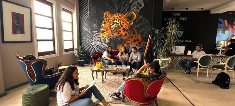 墨西哥丽都之家 - 精品旅舍(Casa Mexico Lindo - Boutique Hostel)图片