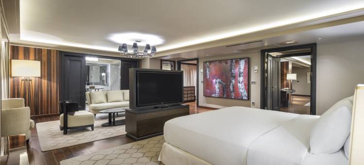 安卡拉希尔顿酒店(Ankara Hilton)图片