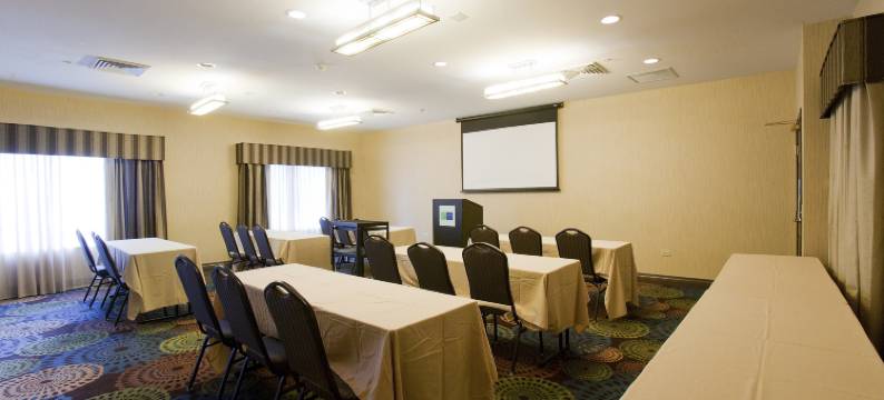 芝加哥迪尔菲尔德/林肯郡智选假日套房酒店(Holiday Inn Express & Suites CHICAGO-DEERFIELD/LINCOLNSHIRE by IHG)图片