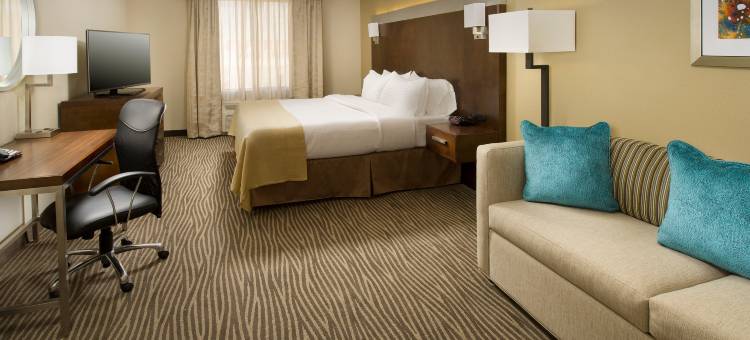 埃尔帕索机场假日酒店(Holiday Inn El Paso Airport)图片