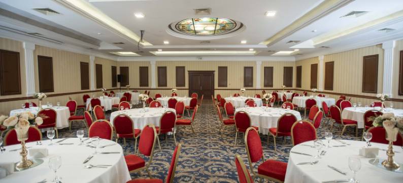 阿奈蒙马尼萨酒店(Anemon Grand Manisa Otel)图片