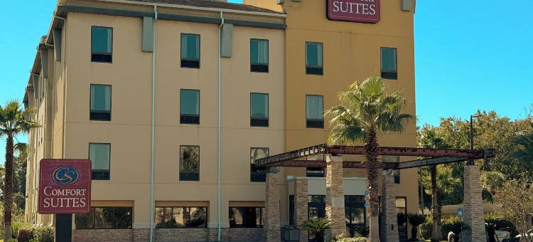 舒适套房酒店-黄金群岛(Comfort Suites Golden Isles Gateway)图片