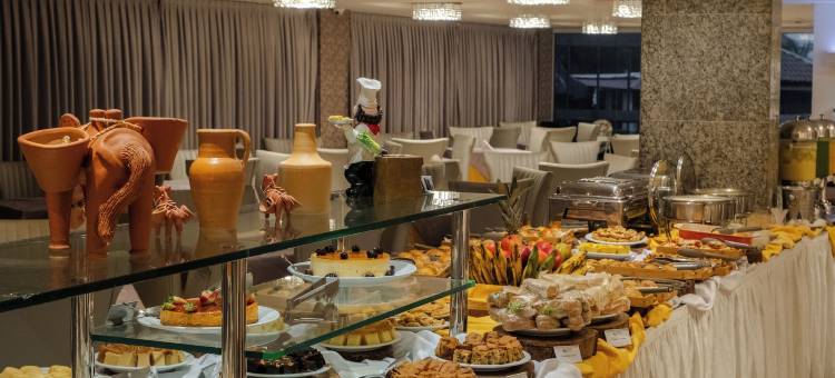 拉古纳普拉亚酒店(Laguna Praia Hotel)图片