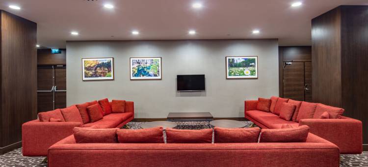 番红花卢希尔顿花园酒店(Hilton Garden Inn Safranbolu)图片