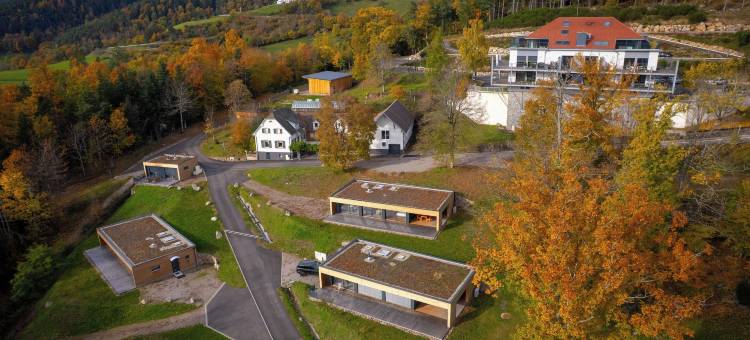 哈斯拉克庄园，凯悦臻选，旅游公寓(Domaine de Haslach, The Originals Collection, Résidence de Tourisme)图片