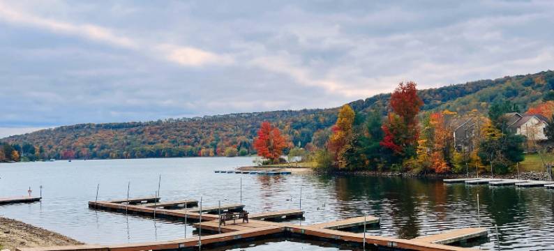 湖滨小屋(LakeFront Lodge)图片