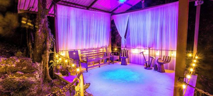 卡萨德尔阿布罗树屋(限成人)(Hotel Casa del Arbol Manuel Antonio - Adults Only)图片