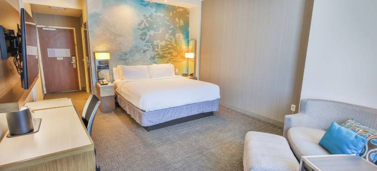 桑德里夫特旅馆(Sundrift Inn)图片