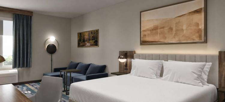 温德姆罗阿诺克霍林斯/I-81拉昆塔温德姆酒店套房(La Quinta Inn & Suites By Wyndham Roanoke Hollins/I-81)图片