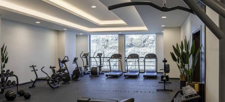 麦加 Thakher 市诺富特酒店(Novotel Makkah Thakher City)图片