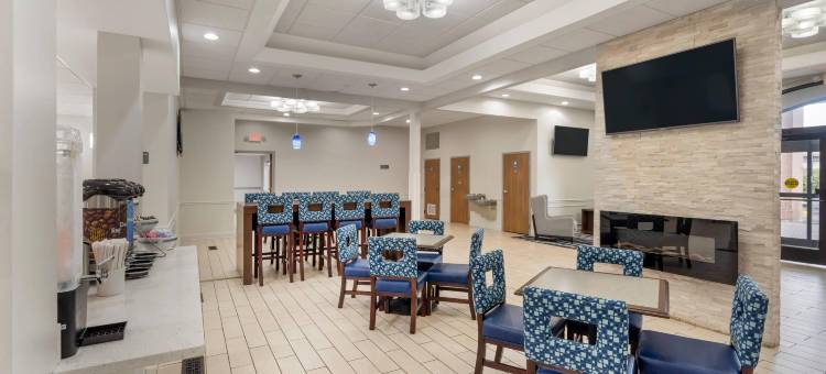 曼德林 - 弗农希尔斯舒适套房酒店(Comfort Inn & Suites Mundelein-Vernon Hills)图片