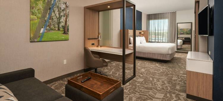 Marriott温特帕克的SpringHill套房(SpringHill Suites by Marriott Winter Park)图片