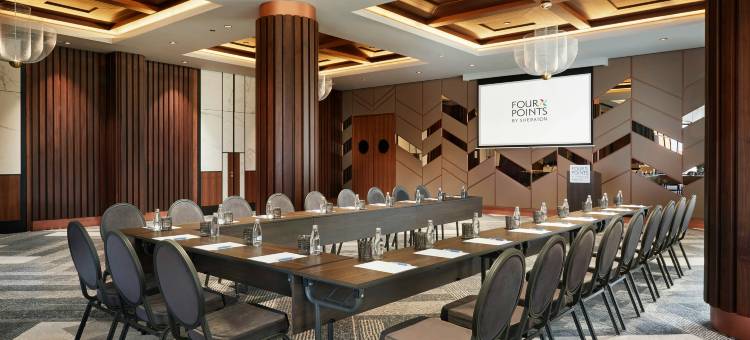 普里什蒂纳市福朋喜来登酒店(Four Points by Sheraton Prishtina City)图片