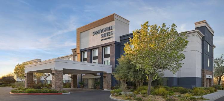 兰开斯特棕榈谷SpringHill Suites酒店(SpringHill Suites Lancaster Palmdale)图片