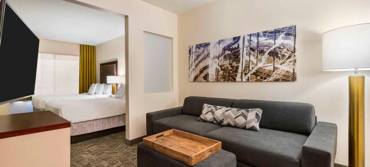 印第安纳波利斯卡梅尔万豪SpringHill酒店(SpringHill Suites Indianapolis Carmel)图片