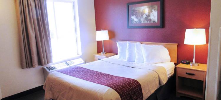 法戈红顶酒店-医疗中心I-94(Red Roof Inn Fargo - I-94/ Medical Center)图片