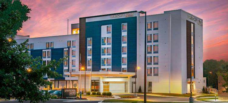 菲德里克万豪SpringHill Suites酒店(SpringHill Suites Frederick)图片