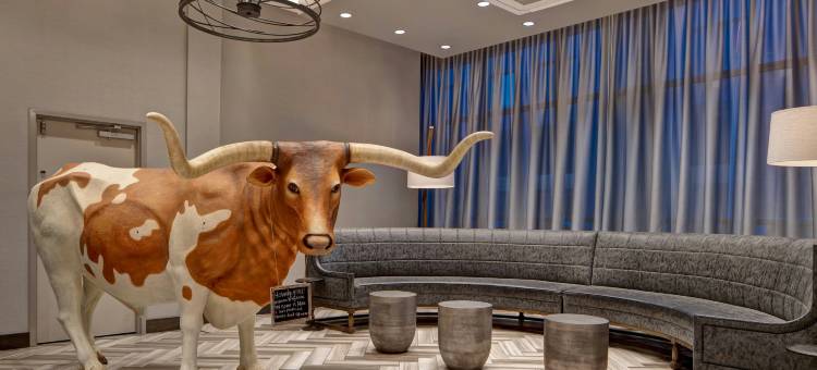 希尔顿欢朋套房酒店 圣安东尼奥河滨步道(Home2 Suites by Hilton San Antonio Riverwalk)图片