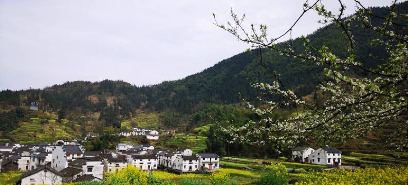休宁梦乡村祖源民宿图片
