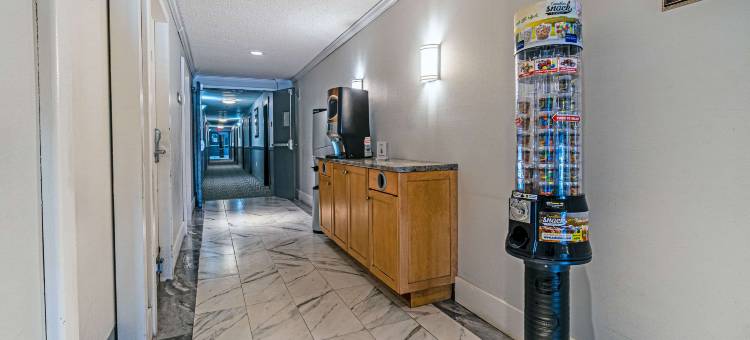 哈利法克斯机场酒店(Hfx Airport Hotel)图片