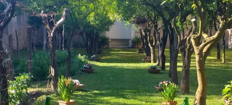 贝努奇宫酒店(Palazzo Benucci - Residenza di Charme)图片