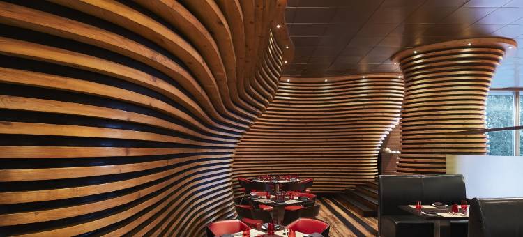 新德里艾美酒店(Le Meridien New Delhi)图片