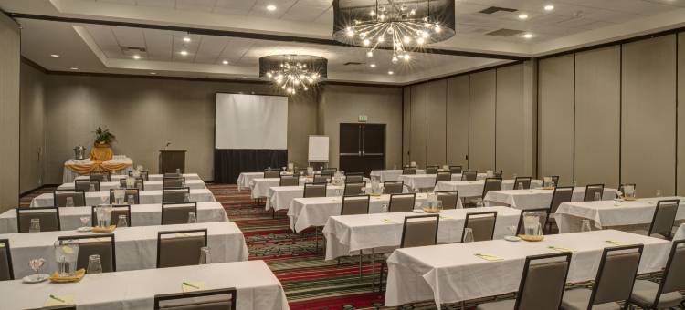 布埃纳帕克希尔顿逸林酒店及度假村(DoubleTree by Hilton Buena Park)图片