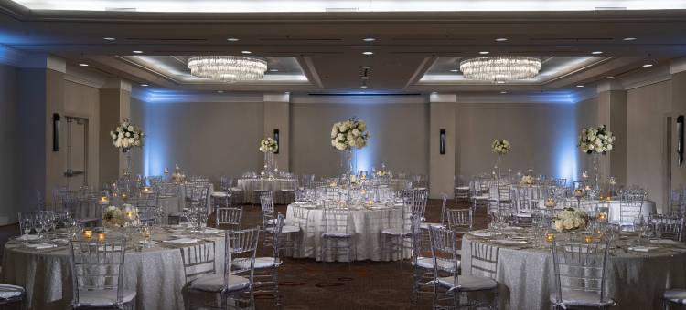 底特律诺维巴朗纳特万丽酒店(The Baronette Renaissance Detroit-Novi Hotel)图片