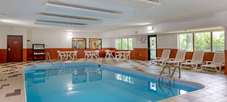 舒适酒店(Comfort Inn)图片