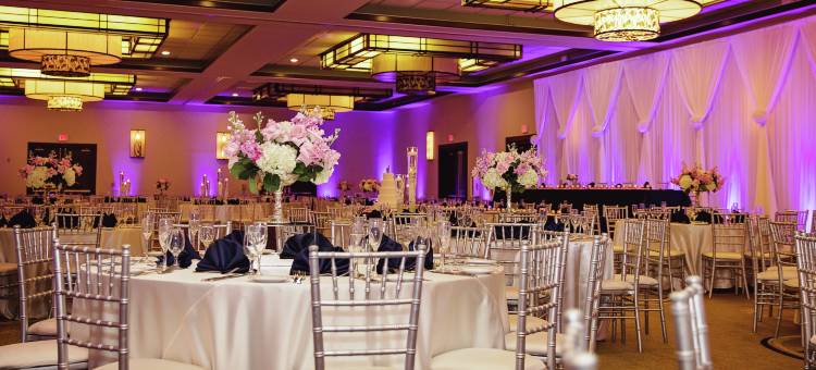 芝加哥奥黑尔罗斯蒙特希尔顿安泊酒店(Embassy Suites by Hilton Chicago O'Hare Rosemont)图片