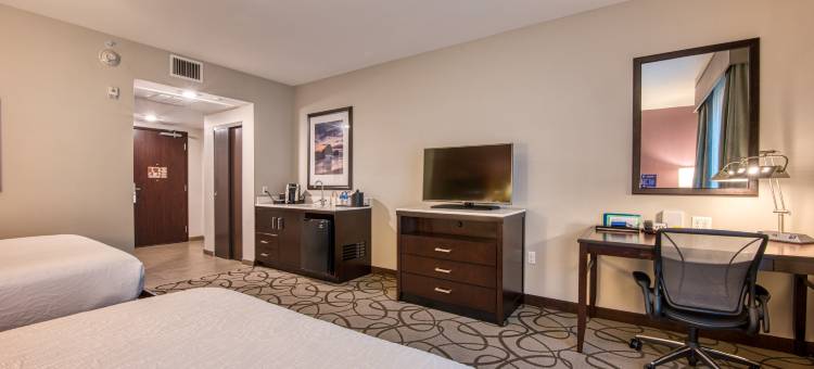 欧文奥兰治县机场希尔顿花园酒店(Hilton Garden Inn Irvine/Orange County Airport)图片